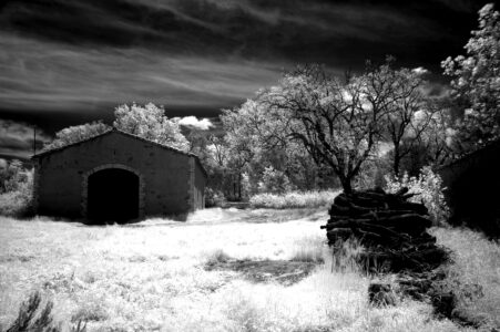 DSC_6940_bn
