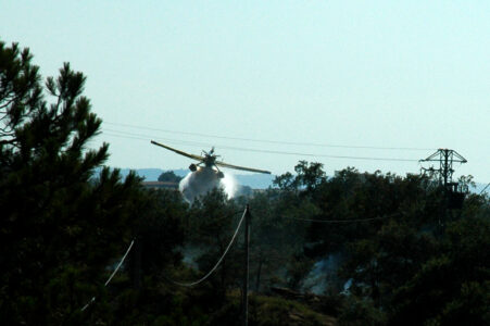 DSC_7487_1024
