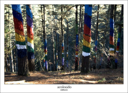 acolorido