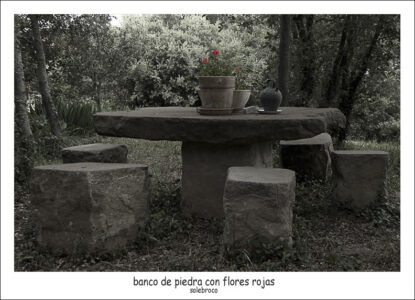 bandodepiedraconfloresrojas