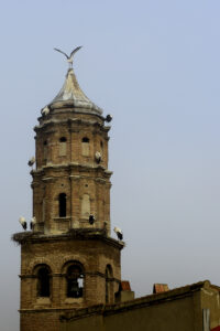 cigonya_tudela
