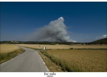 foc_salo