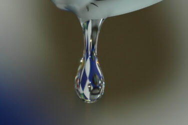 gota