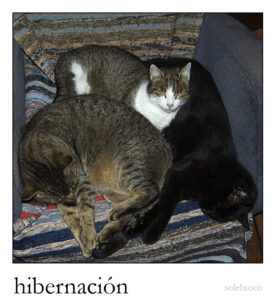 hibernacion
