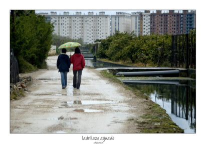 ladrillazo_aguado