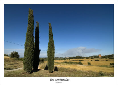 loscentinelas