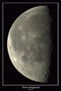 lunamenguante