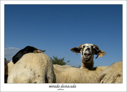 miradadestacada