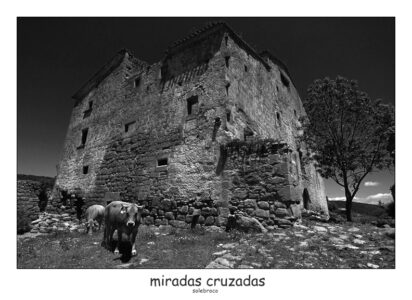 miradascruzadas