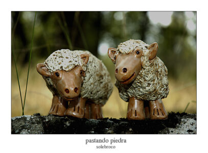 pastando_piedra
