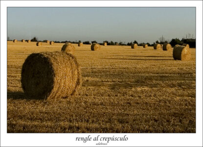 renglealcrepusculo
