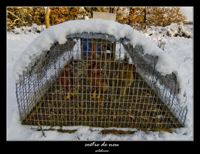 sostre_de_neu