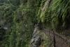 madeira_2017_levada_caldeirao_verde_15